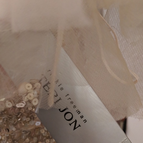 NWT Teri Jon Long Illusion Overlay Gold Gown Sz4 - Picture 8 of 8